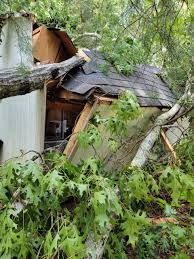 Pro Gutter Cleaning and Repair — storm-damage scene of a large tree crashed through a residential roof, branches and debris visible